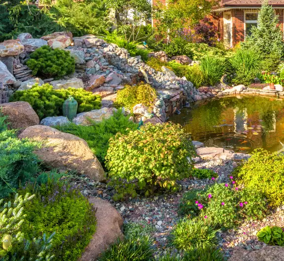 KOI Ponds, Wentzville, MO KOI Ponds, Wentzville, MO