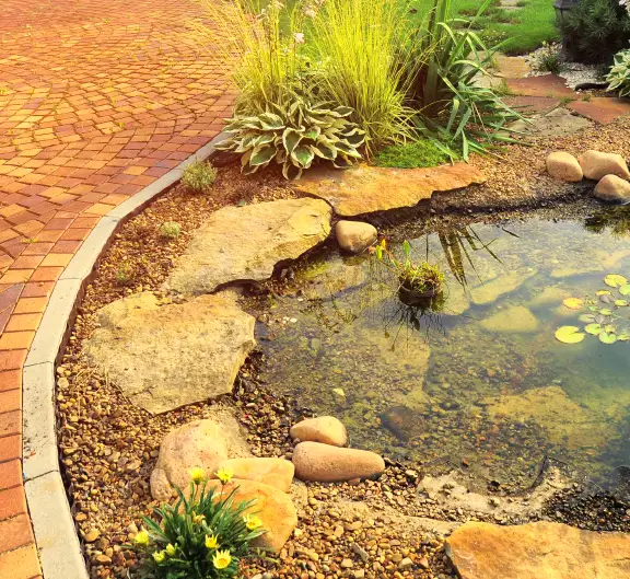 Ponds, Wentzville, MO Ponds, Wentzville, MO